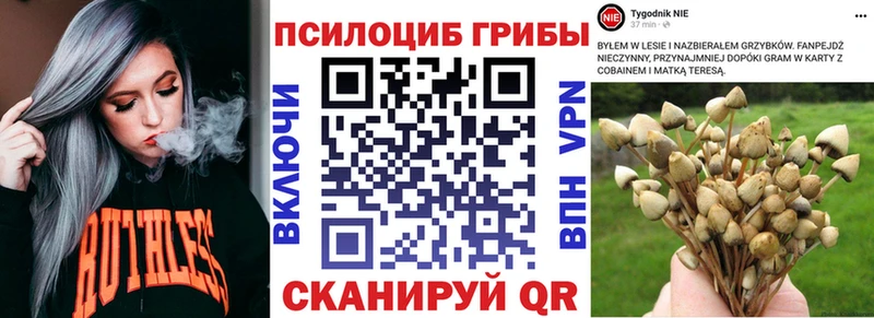 цена наркотик  мега как войти  Псилоцибиновые грибы GOLDEN TEACHER  Лагань 